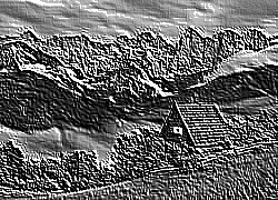 Skamielina