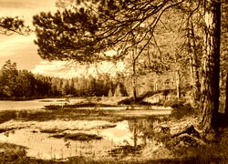 Sepia