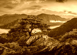 Sepia