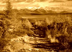 Sepia