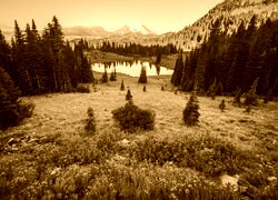 Sepia