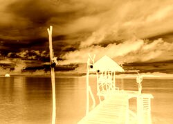 Sepia + Negatyw