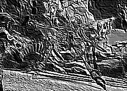 Skamielina
