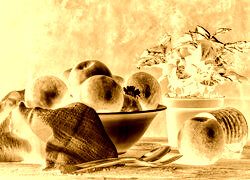 Sepia + Negatyw