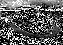 Skamielina