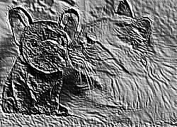 Skamielina