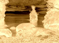 Sepia + Negatyw