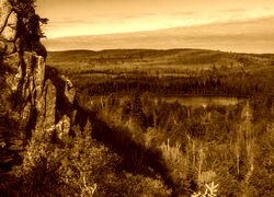 Sepia