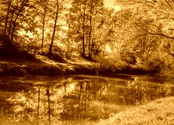 Sepia
