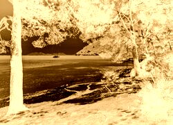 Sepia + Negatyw