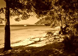 Sepia