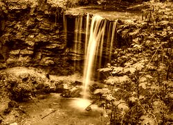 Sepia