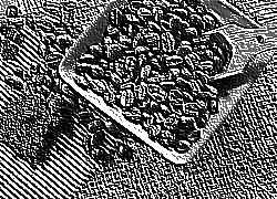 Skamielina