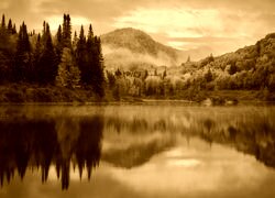 Sepia