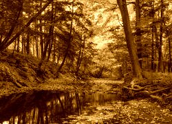 Sepia