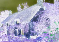 Negatyw