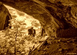 Sepia