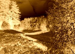Sepia + Negatyw