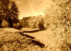 Sepia
