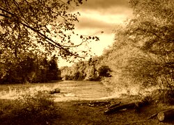 Sepia
