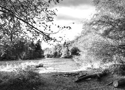 Szary + Sepia