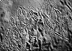 Skamielina
