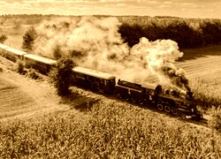Sepia