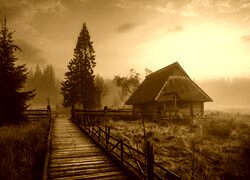 Sepia