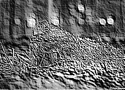 Skamielina