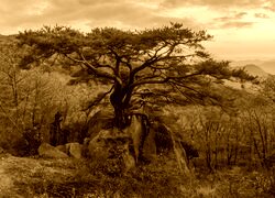 Sepia