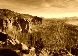 Sepia
