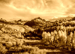 Sepia