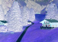 Negatyw