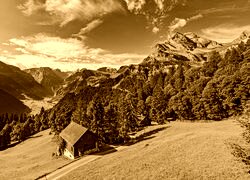 Sepia