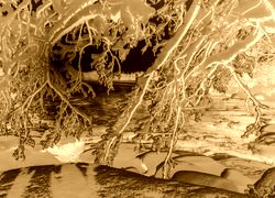 Sepia + Negatyw