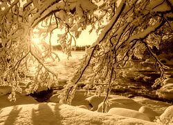 Sepia
