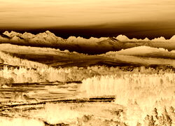 Sepia + Negatyw
