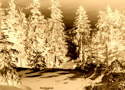 Sepia + Negatyw