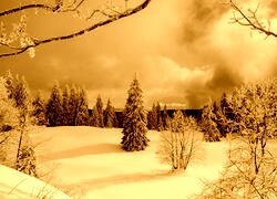 Sepia