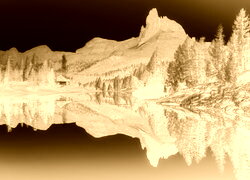 Sepia + Negatyw