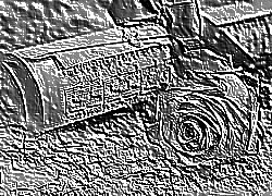 Skamielina