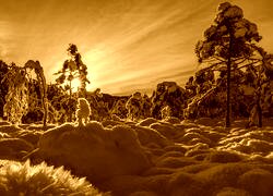 Sepia
