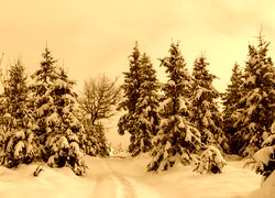 Sepia
