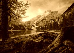 Sepia