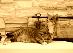 Sepia