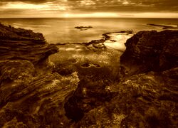 Sepia