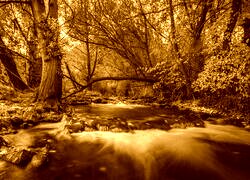 Sepia