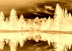 Sepia + Negatyw