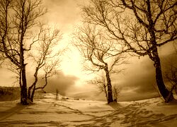 Sepia
