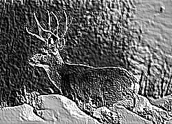 Skamielina